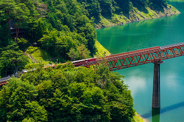 福祉・医療システム交流