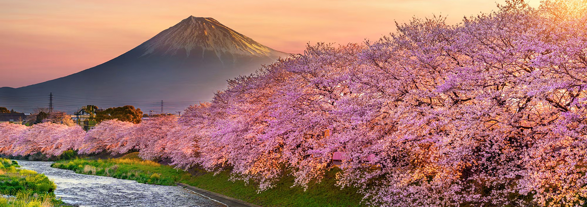 1744255843838727.jpg 1.jpg